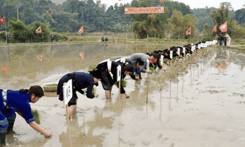 Thái Nguyên: Tưng bừng khai hội Lồng Tồng