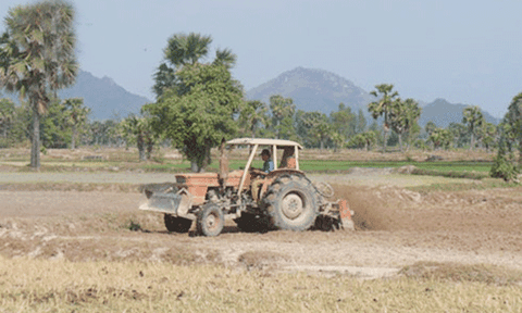 Đồng bằng sông Cửu Long “gồng mình” chống hạn hán, xâm nhập mặn
