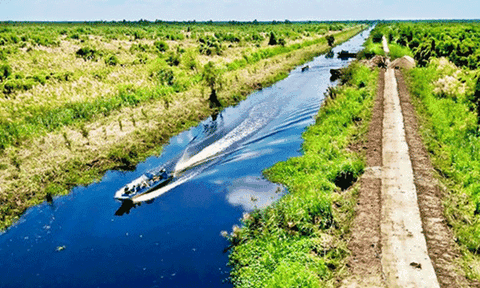 Kiên Giang đón bằng công nhận khu Ramsar Vườn quốc gia U Minh Thượng