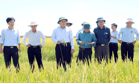 Quảng Trị xây dựng nông thôn mới: “Gặt hái” sự hài lòng của dân