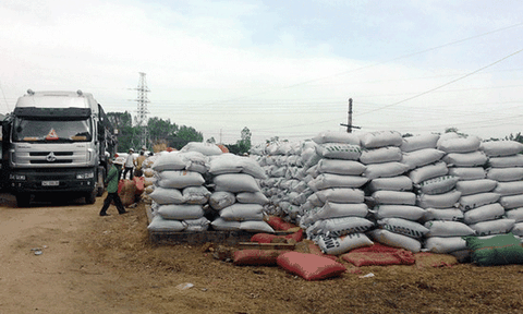 Khởi sắc Phước Sơn