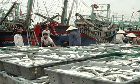 Tiếp tục góp phần đưa Quỳnh Lưu phát triển đúng tiềm năng