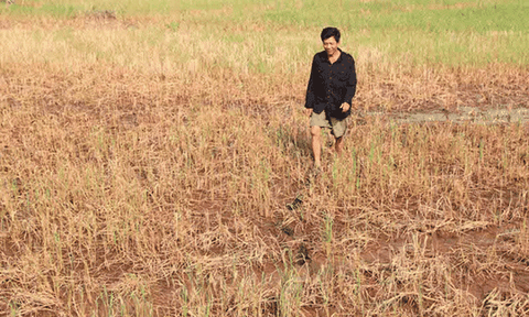  Hơn nửa triệu dân ĐBSCL thiếu nước sinh hoạt 