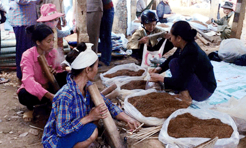 Về nơi những người phụ nữ Mường hút thuốc lào