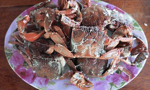 Về Cà Mau bắt ba khía đem luộc cơm mẻ