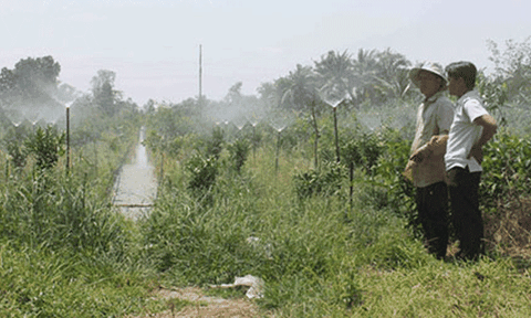 Hạn, mặn nghiêm trọng: Lắp đường ống dẫn nước ngọt cho dân