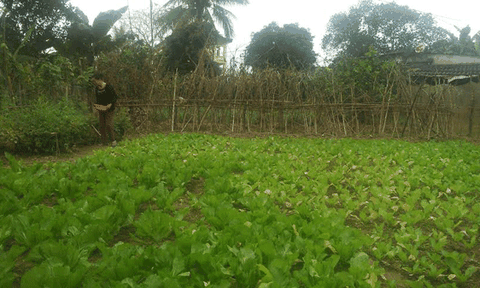 Xã Sơn Kim 1: Tập trung xây dựng khu dân cư kiểu mẫu