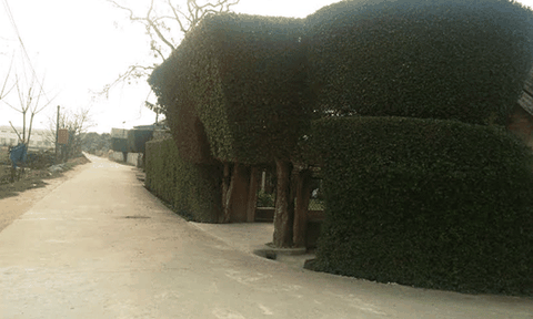 Xã Tùng Ảnh: Hướng tới đích nông thôn mới kiểu mẫu