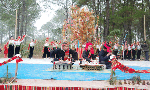 Lên Mộc Châu xem lễ Hết Chá