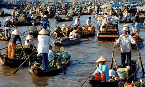 Về Hậu Giang ghé thăm chợ nổi Phụng Hiệp