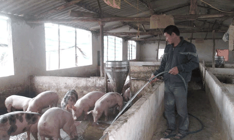 Xã Tân Thành: Quyết tâm về đích nông thôn mới theo đúng kế hoạch