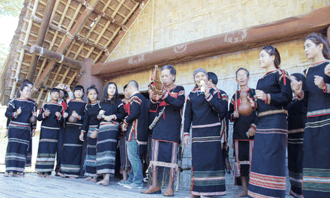 “Tháng 3 - Mùa con ong đi lấy mật - Tây Nguyên đại ngàn”