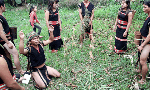 Độc đáo lễ “ăn lúa mới” của người Xê Đăng