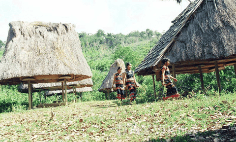 Tục lệ mở kho lúa “có một không hai” của người Cơ Tu