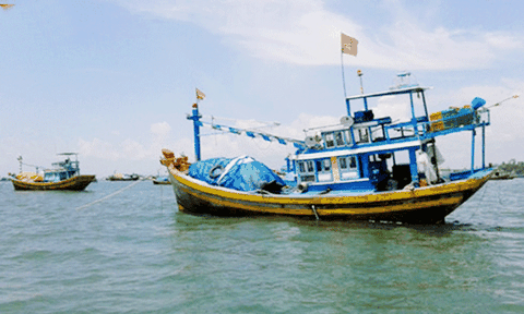 Bình Thuận ra lệnh cấm khai thác 5 loài hải đặc sản