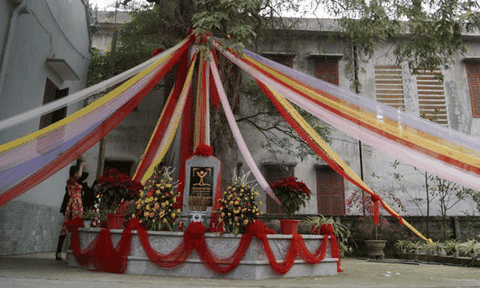 Hải Phòng: Vinh danh cây di sản 200 tuổi chùa Tả Quan