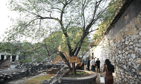 Du lịch Sơn La: Bao giờ cất cánh?