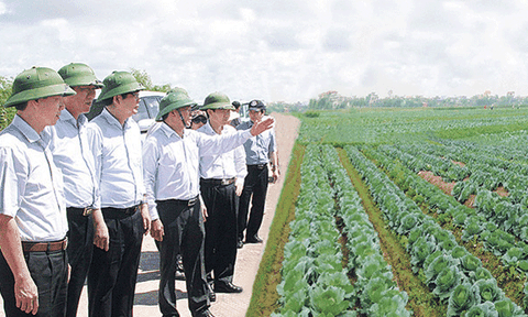 Dồn điền đổi thửa: Một số kinh nghiệm trong xây dựng nông thôn mới ở Nam Định