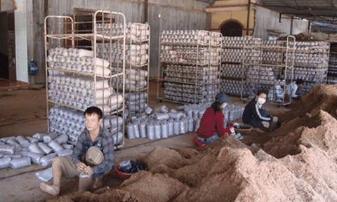 Giá trị sản xuất nông nghiệp ở Đồng Nai tăng gần 4% so với cùng kỳ