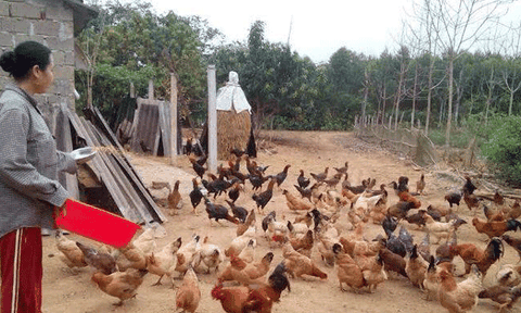 Nghĩa Bình với mô hình điểm “dân vận khéo”, phấn đấu trở thành xã nông thôn mới tiêu biểu