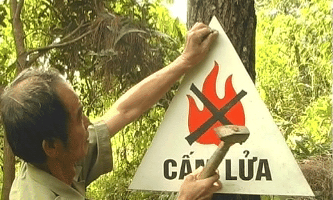 BQL rừng phòng hộ Anh Sơn: Tăng cường công tác bảo vệ rừng và phòng chống cháy rừng