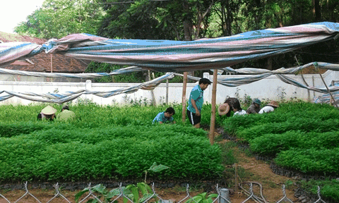 Ghi được ở BQL rừng phòng hộ Kỳ Sơn