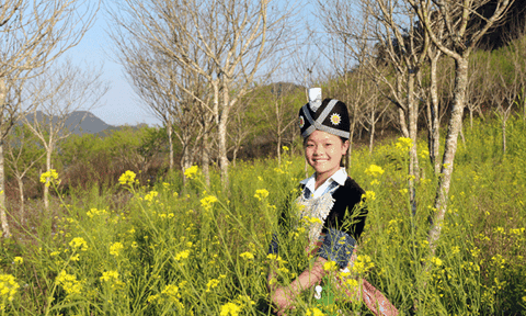 Đặc sắc dân tộc Hmông ở Nghệ An