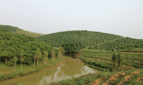 Sơn Mai: Nỗ lực phát triển kinh tế - xã hội và xây dựng NTM
