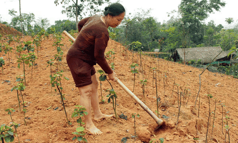 Diện mạo mới trên đất Tổ