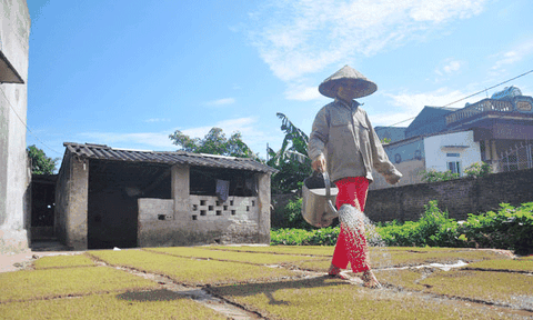 Phú Xuyên xây dựng NTM: Xác định rõ lộ trình, không rập khuôn