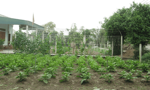 Kỳ Hà: Tập trung mọi nguồn lực, quyết tâm về đích nông thôn mới đúng kế hoạch