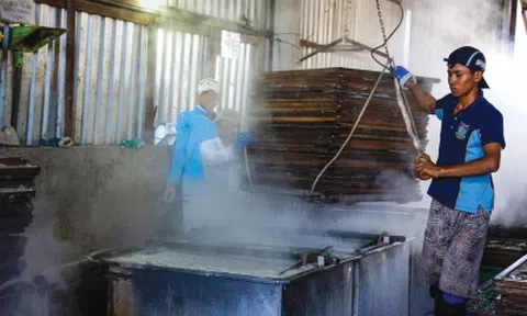 Nghề làm cá khô ở Sông Đốc 