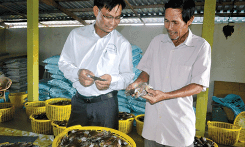  Cà Mau sẵn sàng cho MDEC - Hậu Giang 2016 