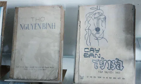 Bảo vệ di cảo cách nào?