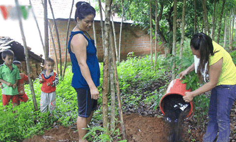 Kon Tum: bọ đậu đen cánh cứng mùi hôi bu kín nhà dân