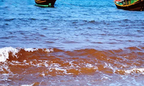 Sự cố môi trường Formosa: Xác định hàm lượng độc tố dưới đáy biển