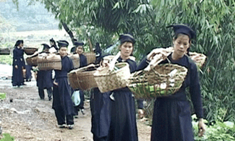 Nghi lễ trong gia đình người Tày ở Cao Bằng