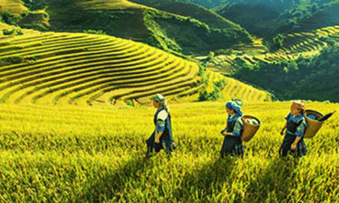 “Sắc màu Tây Bắc” được chọn là chủ đề Năm du lịch quốc gia 2017