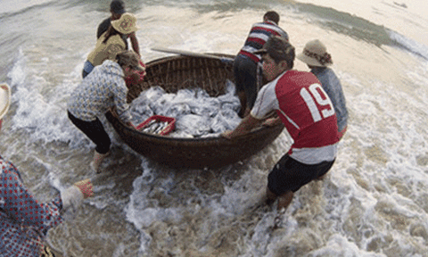 Chuyển đổi sinh kế cho người dân bị ảnh hưởng bởi Formosa