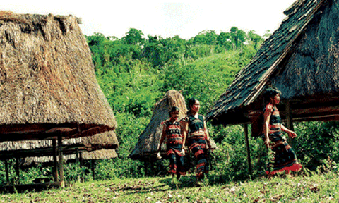 Nhà kho trong rừng của đồng bào Tây Nguyên