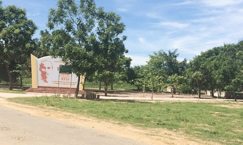 Nỗ lực xây dựng nông thôn mới và phát triển kinh tế - xã hội ở xã Cổ Đạm