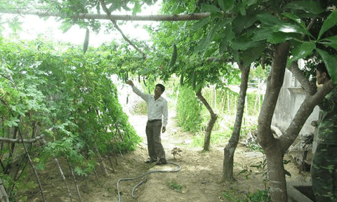 Tượng Sơn quyết tâm xây dựng nông thôn mới kiểu mẫu