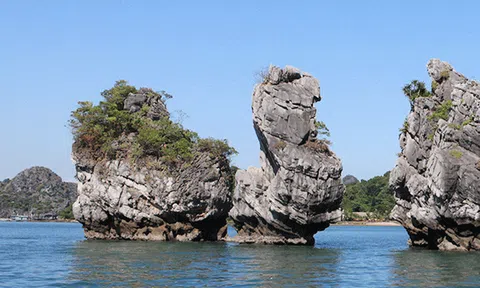 Đề nghị khôi phục lại hòn Thiên Nga trên vịnh Hạ Long