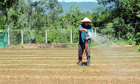 Quế An khởi sắc bằng các mô hình kinh tế