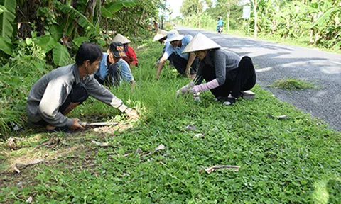 Xã nông thôn mới nỗ lực giữ vững danh hiệu