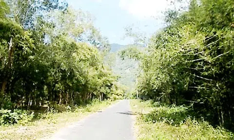  Trở lại Ô Tà Sóc 