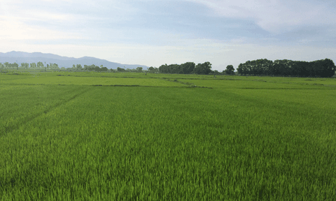 Yên Hồ: Đẩy nhanh tốc độ phát triển kinh tế - xã hội nhằm tạo bước đột phá