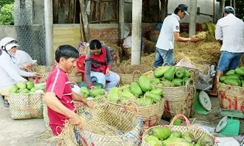  Tiền Giang tập trung thực hiện tiêu chí "Thu nhập" 