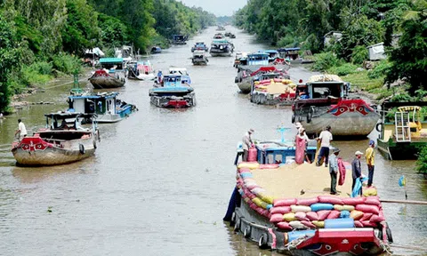 Con kênh đa lợi ích