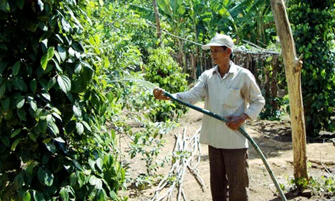 Bệ phóng giúp nông dân Phù Cát vượt khó